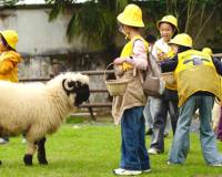 中小学生放秋假,四川景区都不够用了