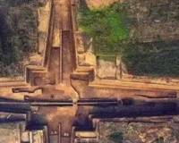 秦始皇祖母陵墓出土的长臂猿为灭绝新物种