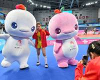 十五运会吉祥物成为网络“顶流”