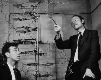 DNA双螺旋结构发现者詹姆斯·沃森去世，享年97岁