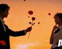 年轻人为什么不谈恋爱了？