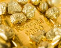 11月10日外盘头条：巴菲特加快财富捐赠力度 特斯拉10月销量大幅下滑 美航司取消逾1600