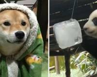 怕冷vs怕热的人,哪种身体更“虚”?