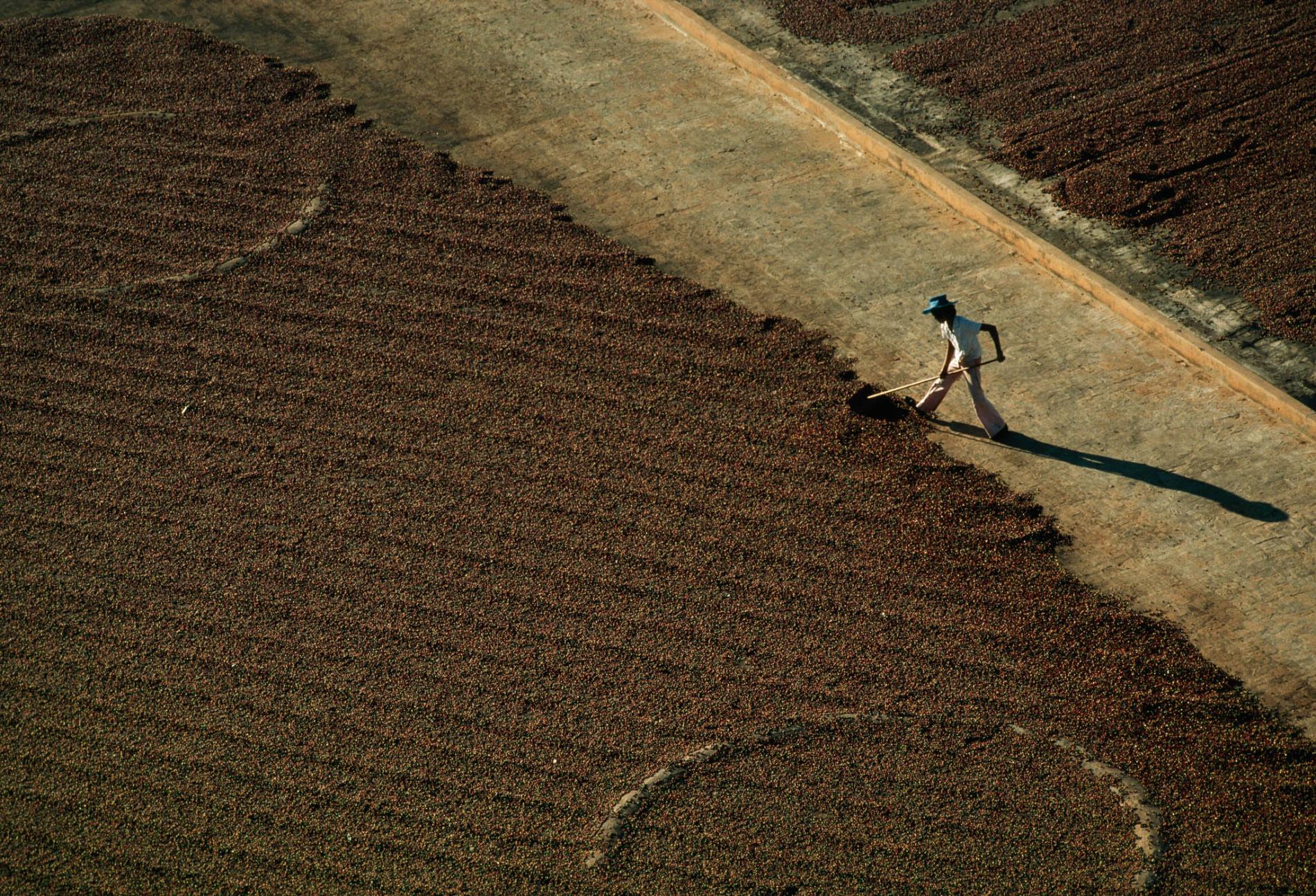 pod-01-10-2020_nationalgeographic_103969.ngsversion.1601081798634.adapt.1900.1.jpg