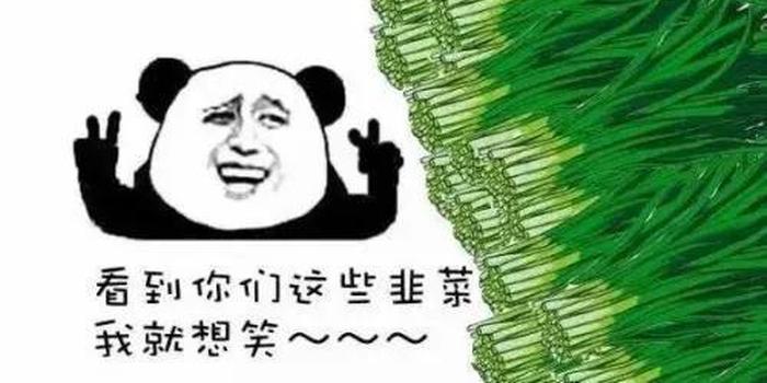w700h350z1l10t1031c.jpg