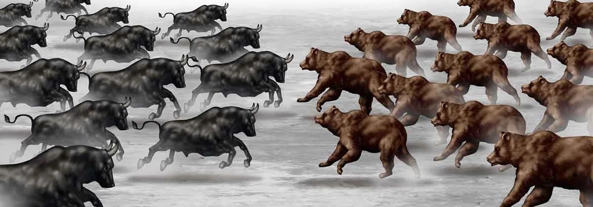 Bear-versus-Bull-markets.jpg