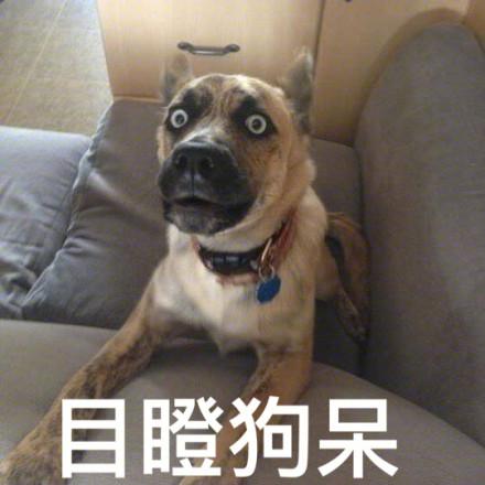0.jpg