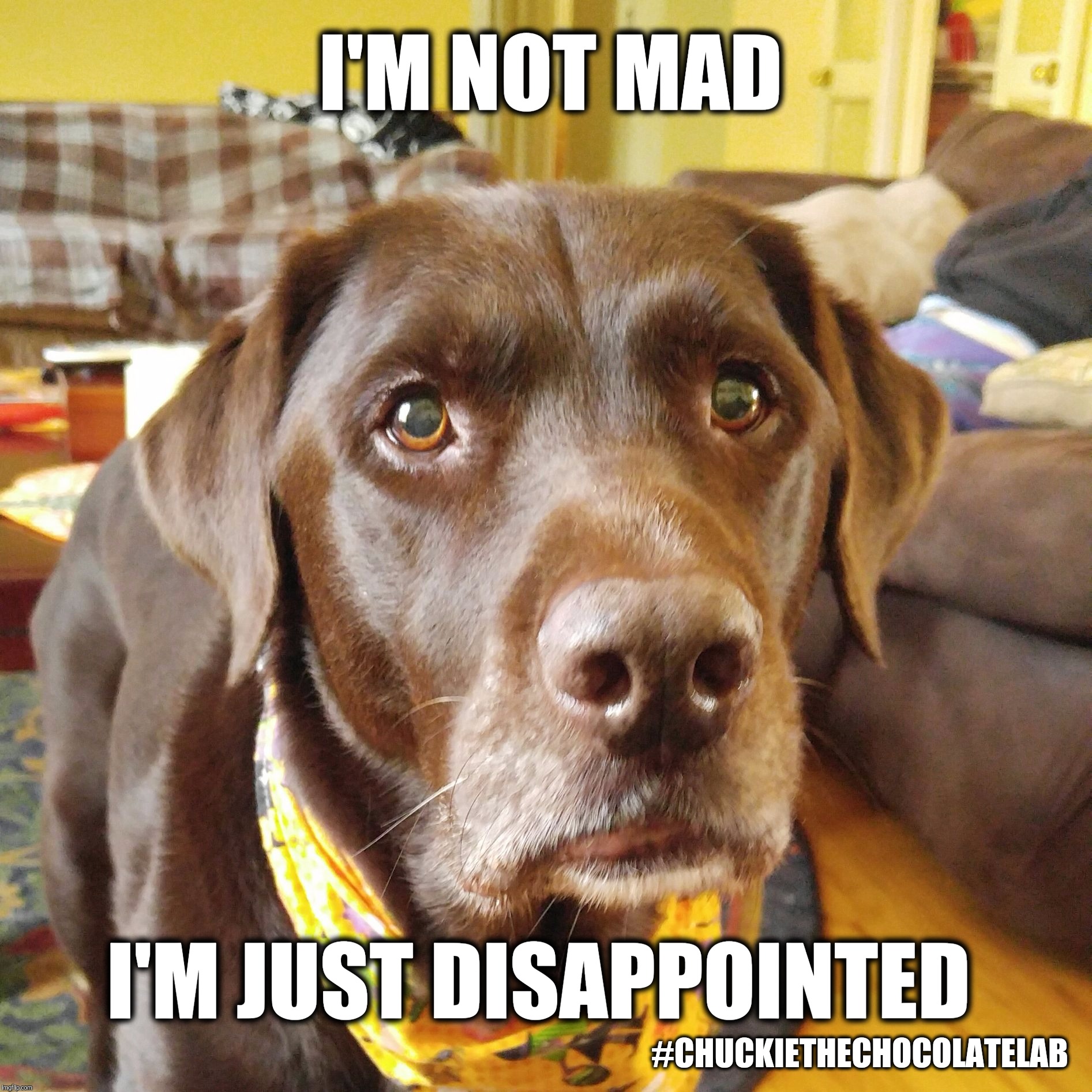disappointed.jpg