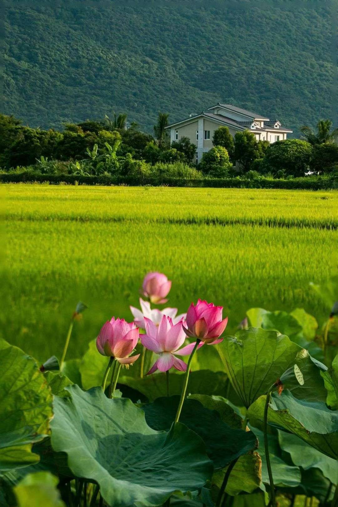 图片_20230726130623.jpg