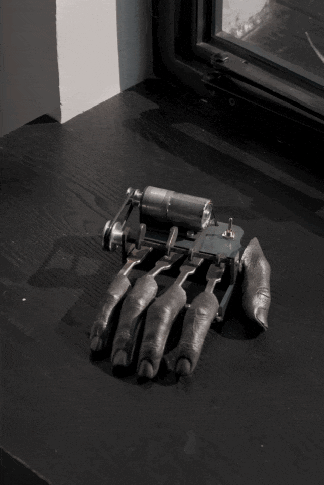 IMG_5214.GIF