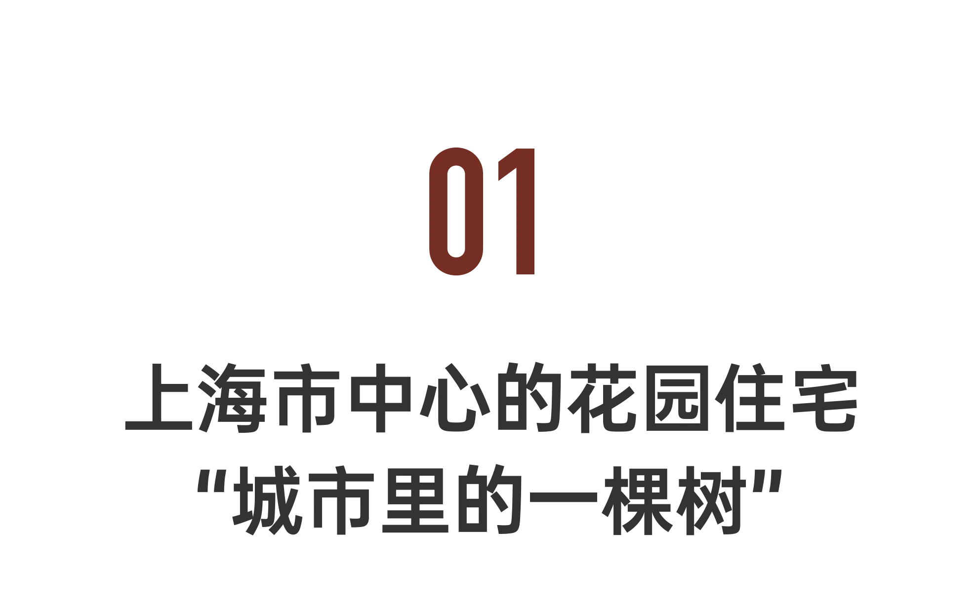 IMG_6454.PNG