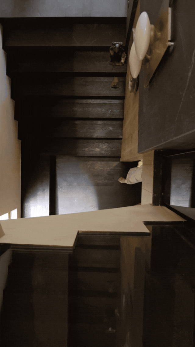 IMG_6470.GIF