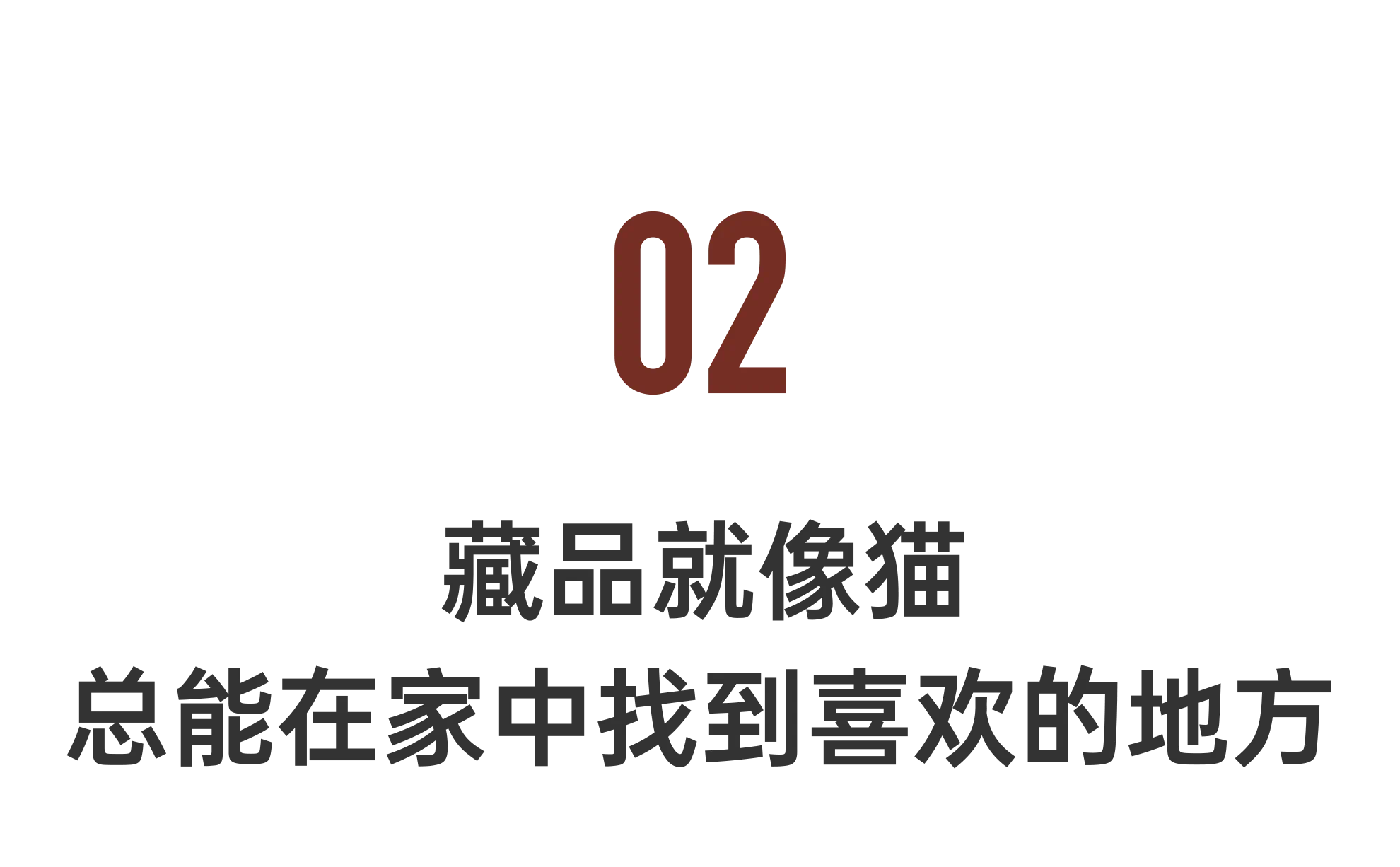 IMG_6472.PNG