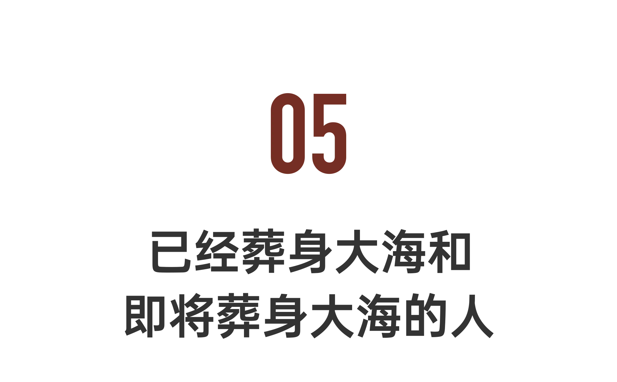 IMG_8427.PNG