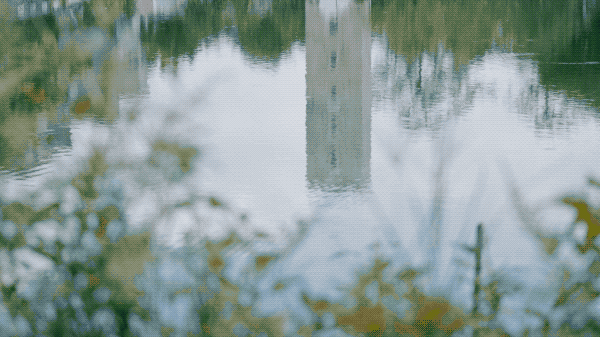 IMG_9852.GIF