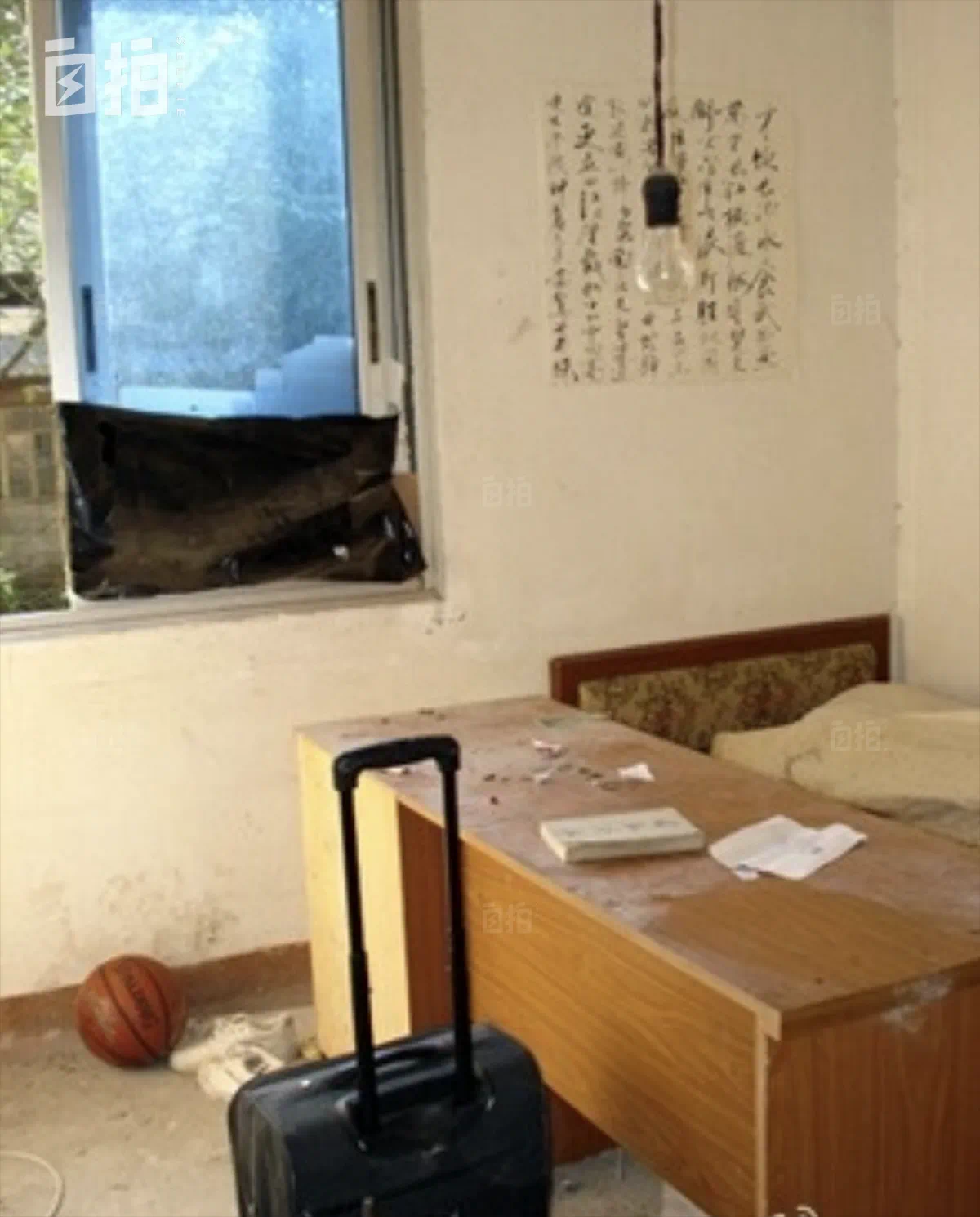 IMG_8342.PNG