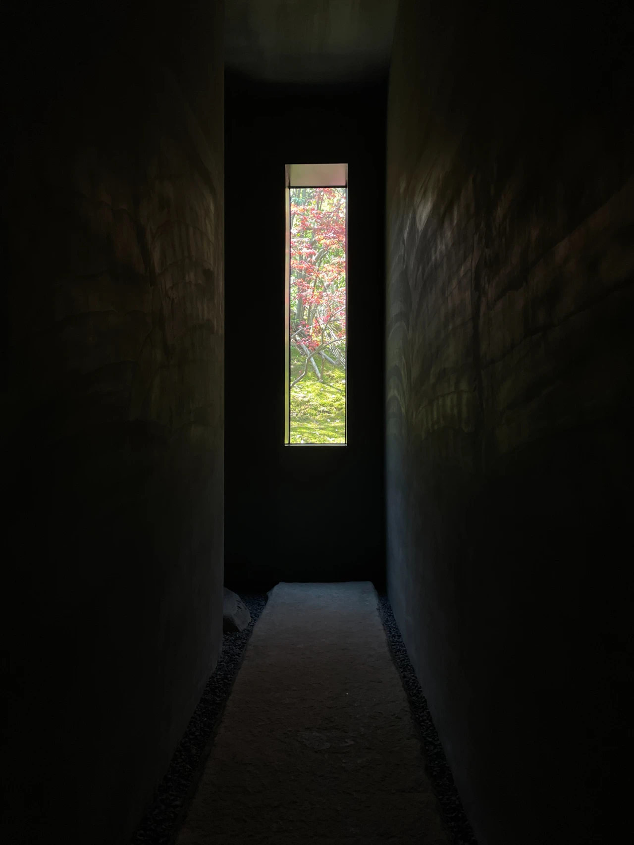 IMG_3875.PNG