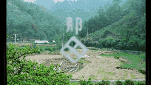IMG_4888.GIF