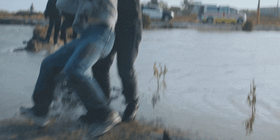 IMG_9992.GIF