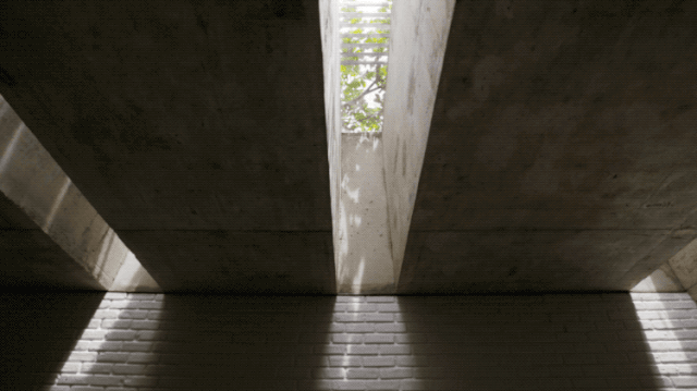 IMG_0921.GIF