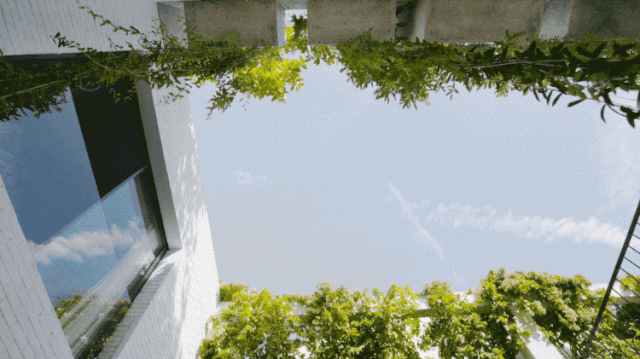 IMG_0928.GIF