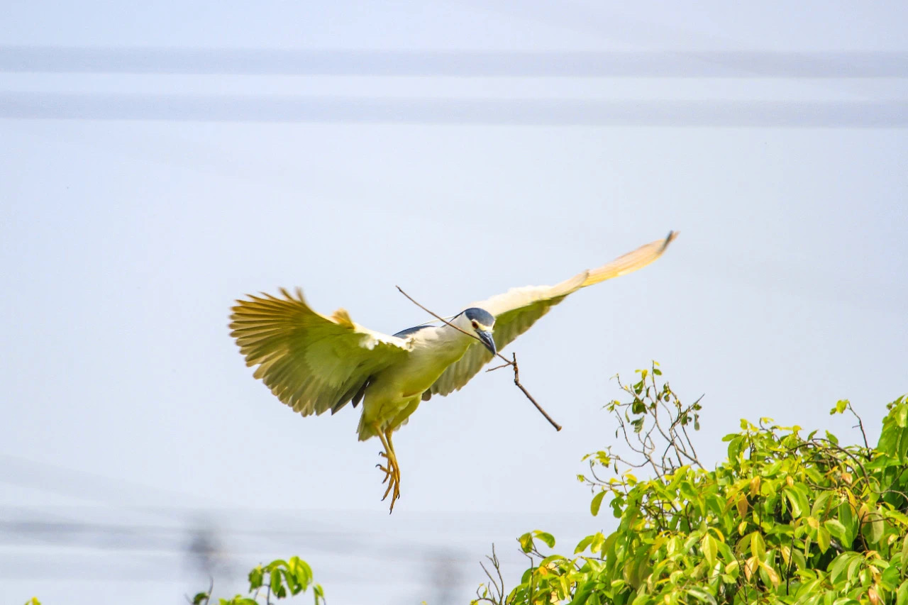 IMG_0969.JPG