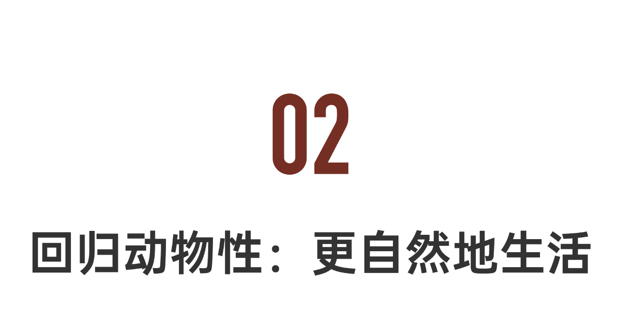 IMG_1540.PNG