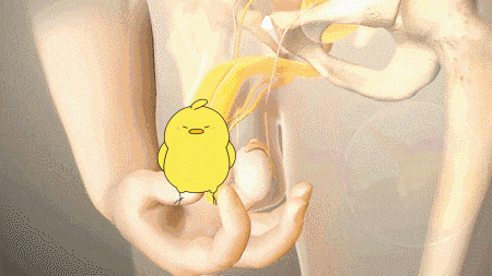 IMG_1523.GIF