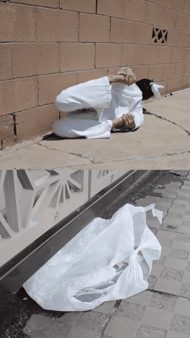 IMG_1652.GIF