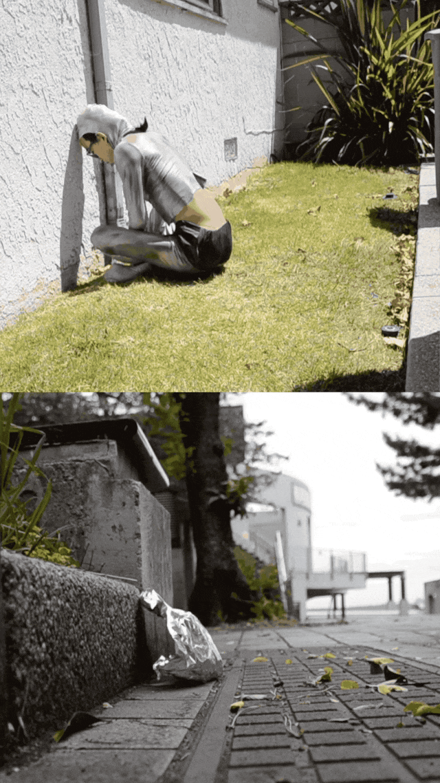 IMG_1656.GIF