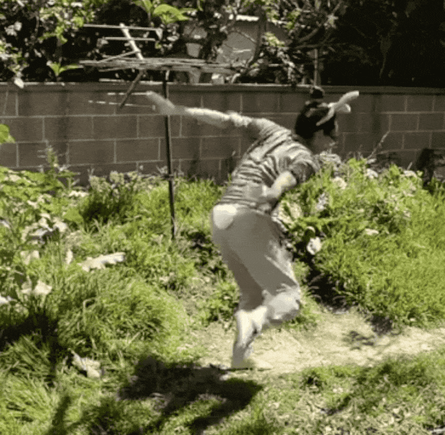 IMG_1663.GIF