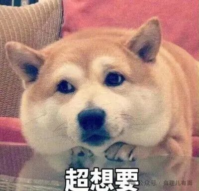 a5.jpg