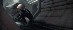 IMG_2959.GIF