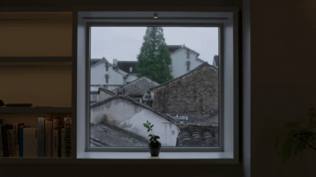 IMG_4433.GIF