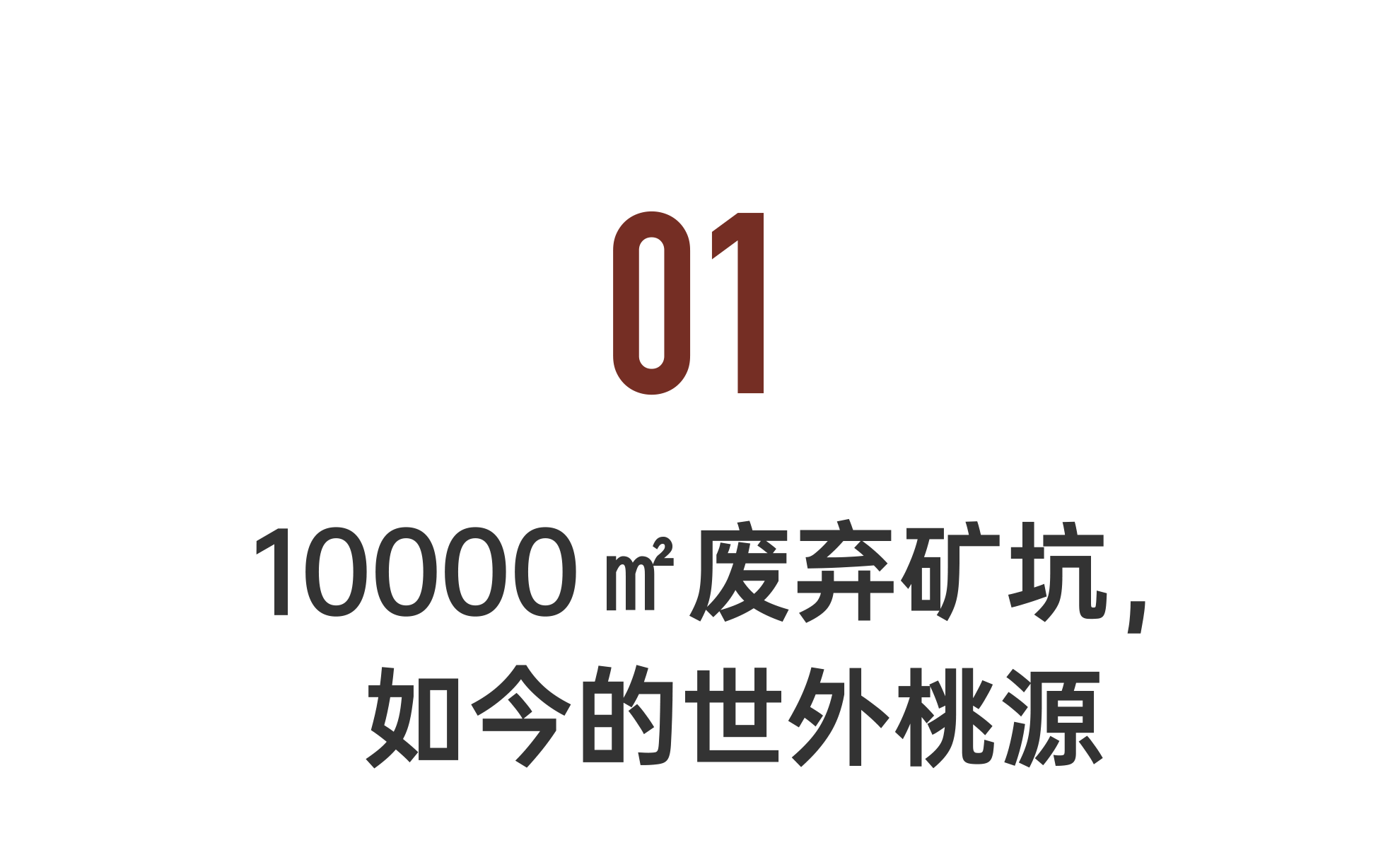 IMG_6825.PNG