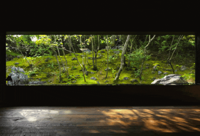 IMG_6830.GIF