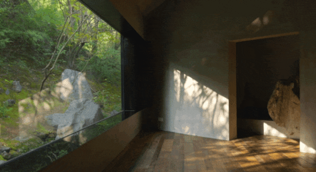 IMG_6831.GIF