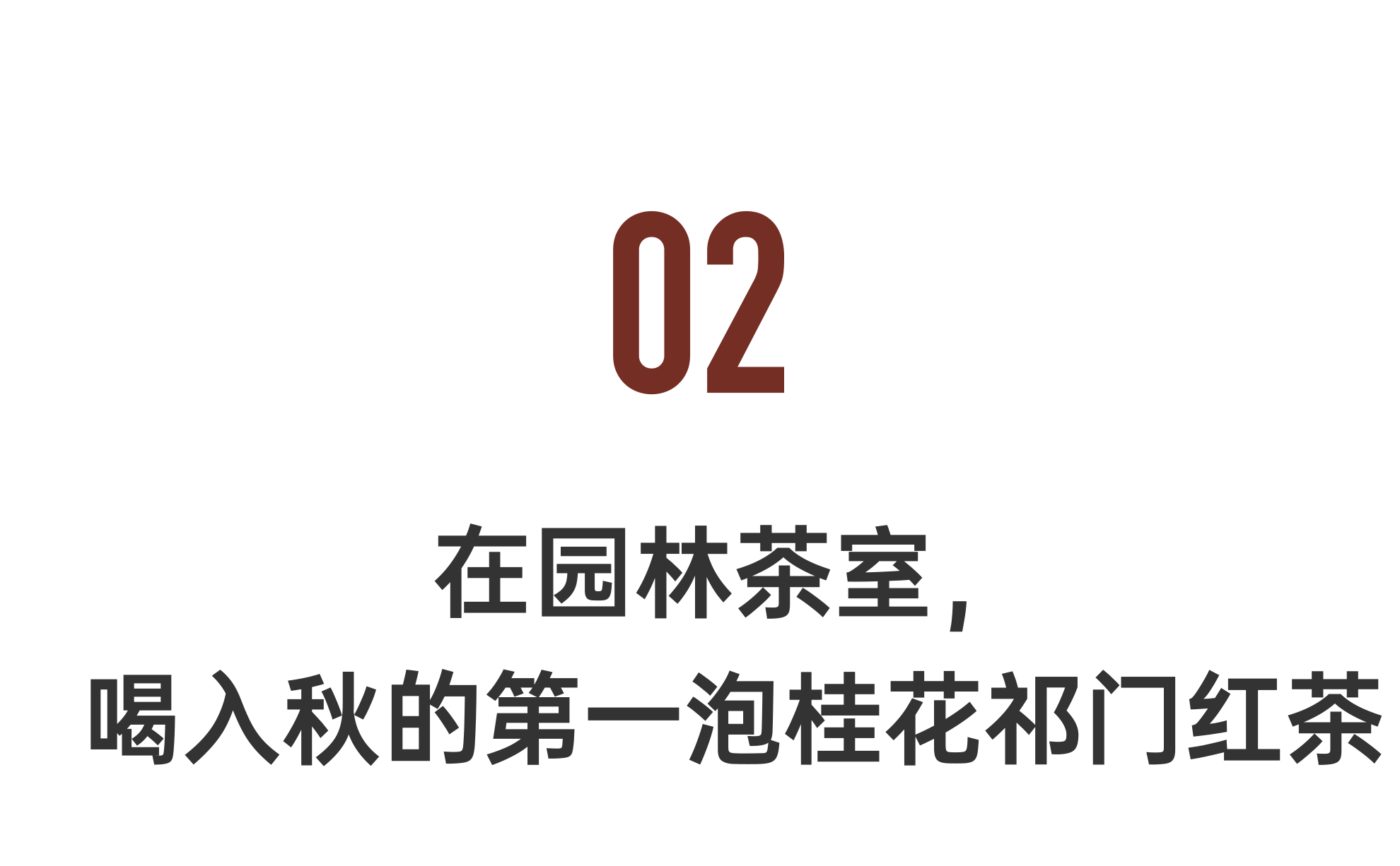 IMG_6836.PNG