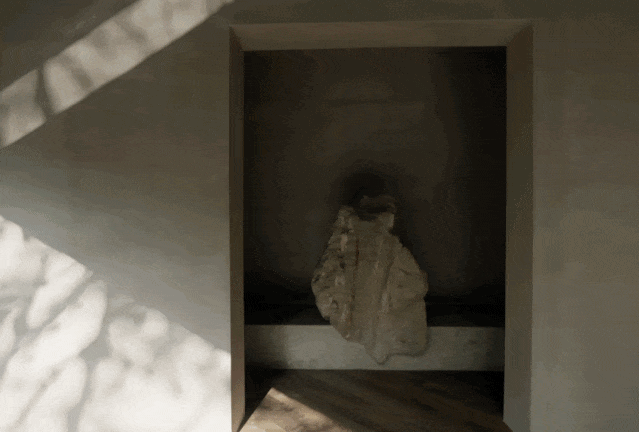 IMG_6835.GIF