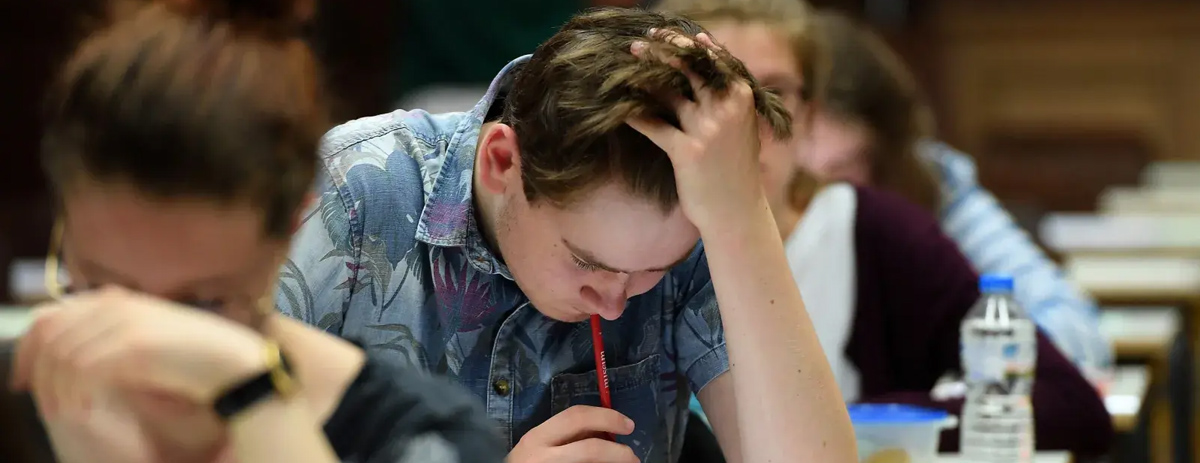 a1.jpg