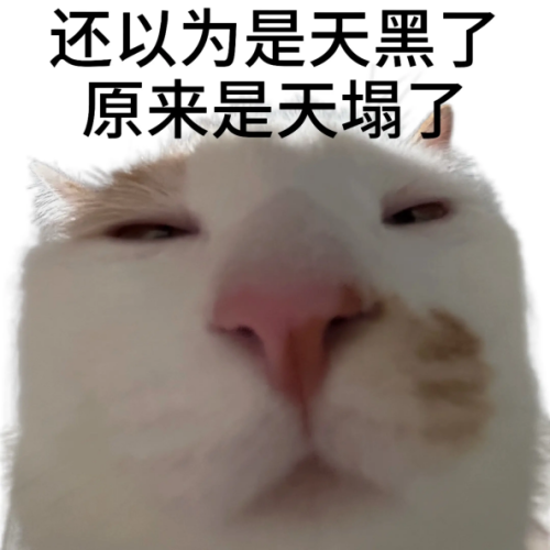 a1.png