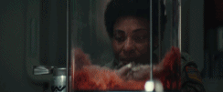 IMG_5522.GIF