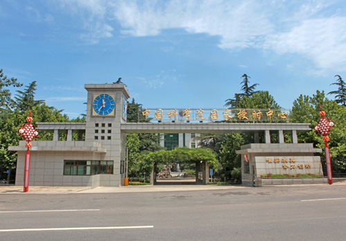 a1.jpg