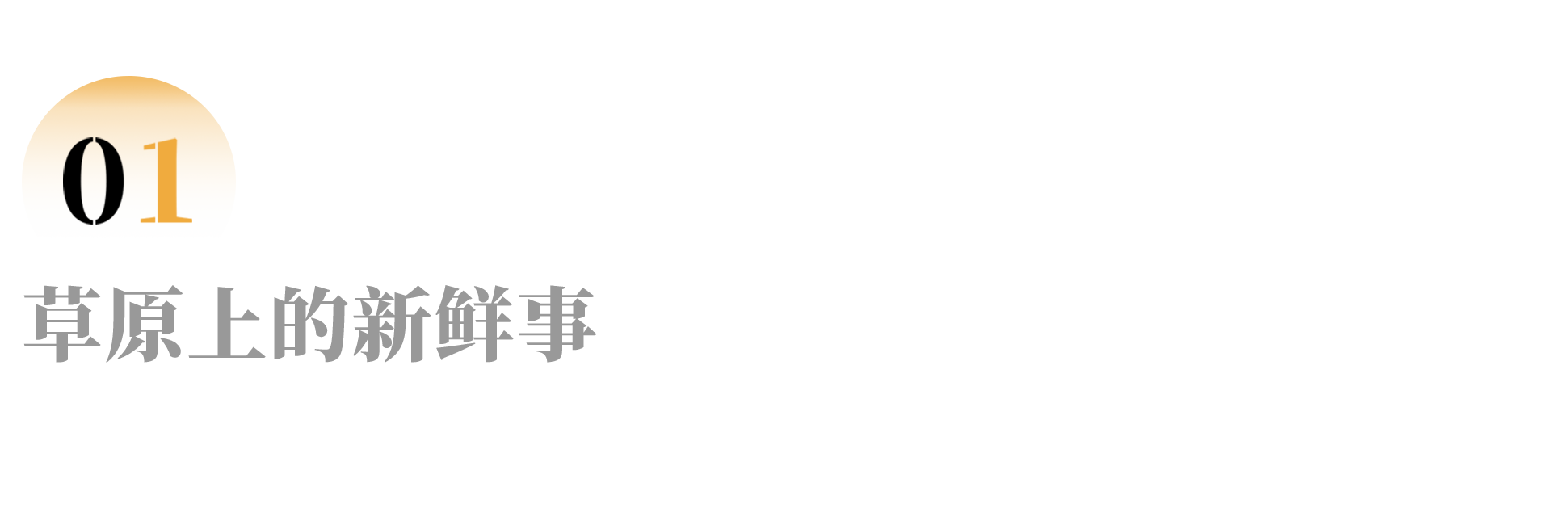IMG_2235.PNG