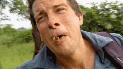 IMG_9348.GIF