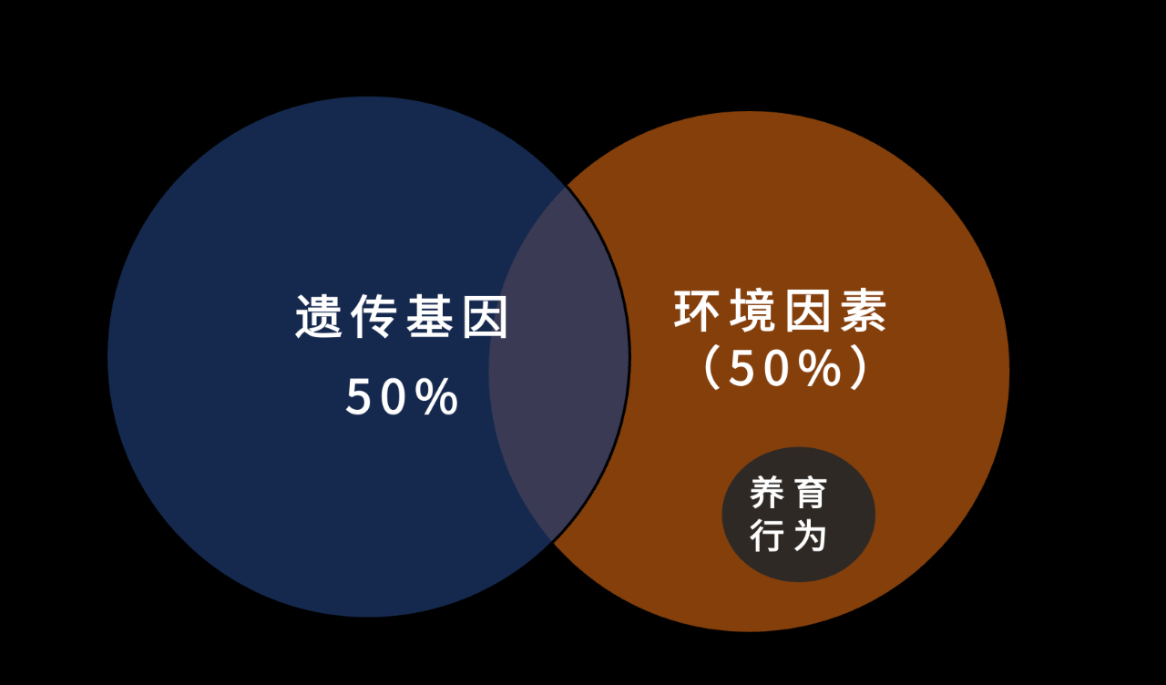 IMG_9662.PNG