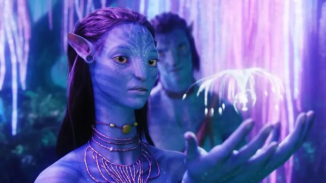 IMG_0271.JPG