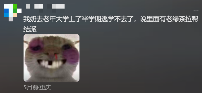 IMG_0494.PNG