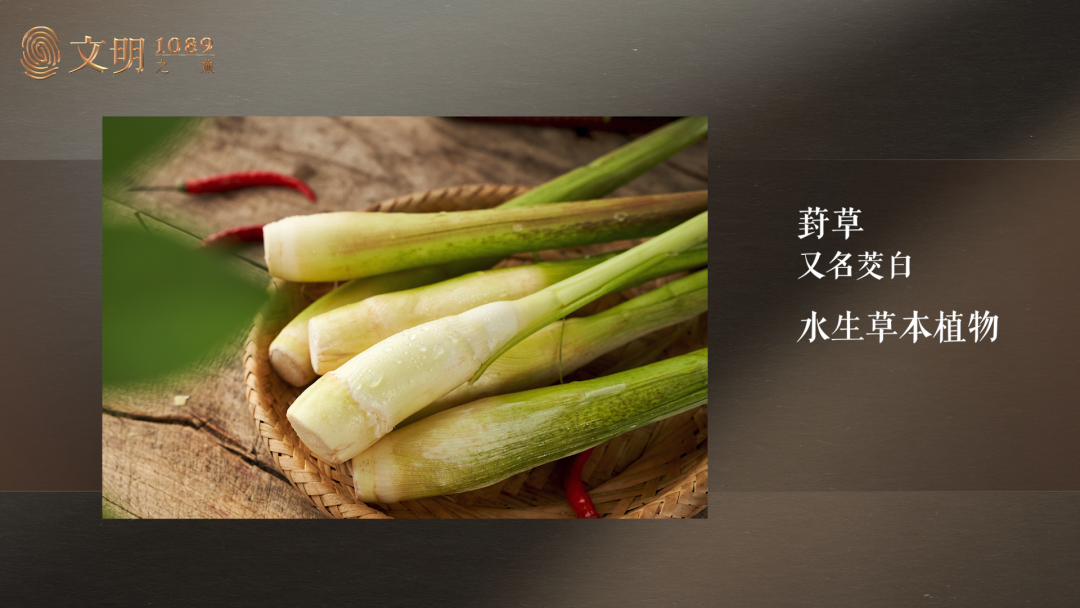 IMG_1076.PNG
