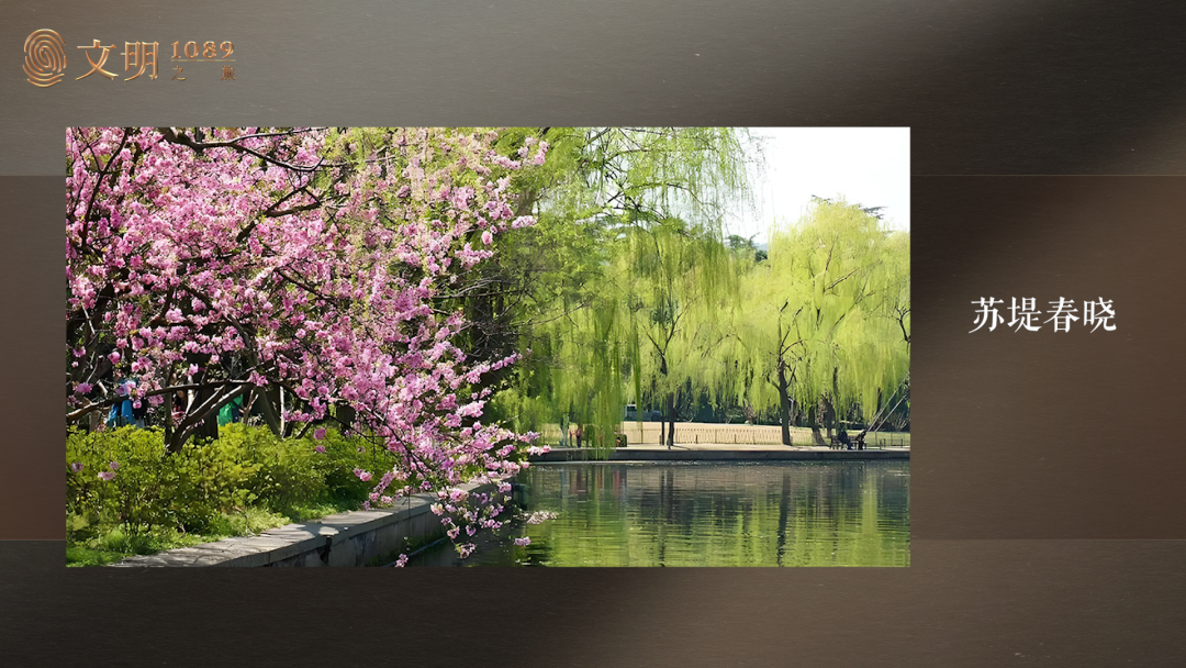 IMG_1080.PNG